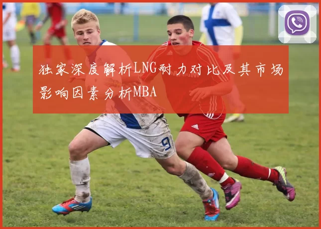 独家深度解析LNG耐力对比及其市场影响因素分析MBA