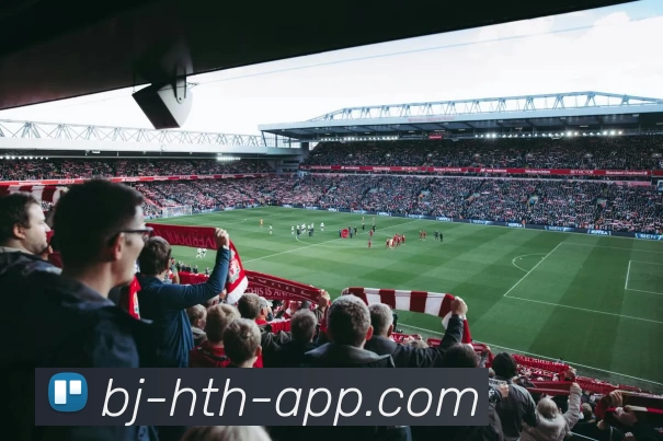 App Interface Preview